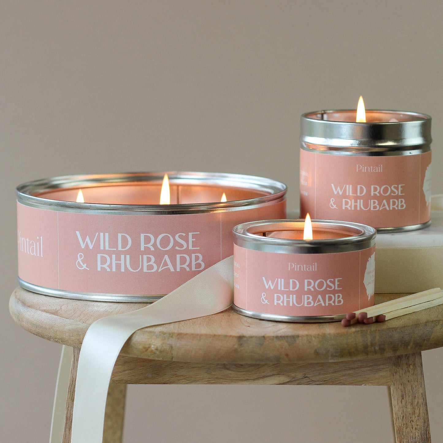 Wild Rose and Rhubarb Paint Pot Candle