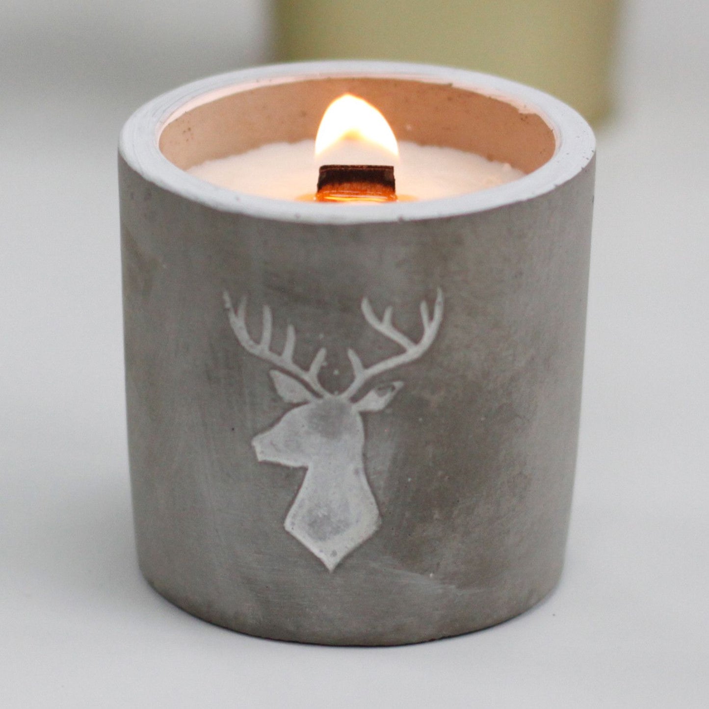 Concrete Pot Candle - Whiskey & Woodsmoke
