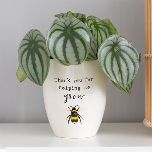 Thank You For Helping Me Grow | Ceramic Plant Pot - Tiodhlac Studio