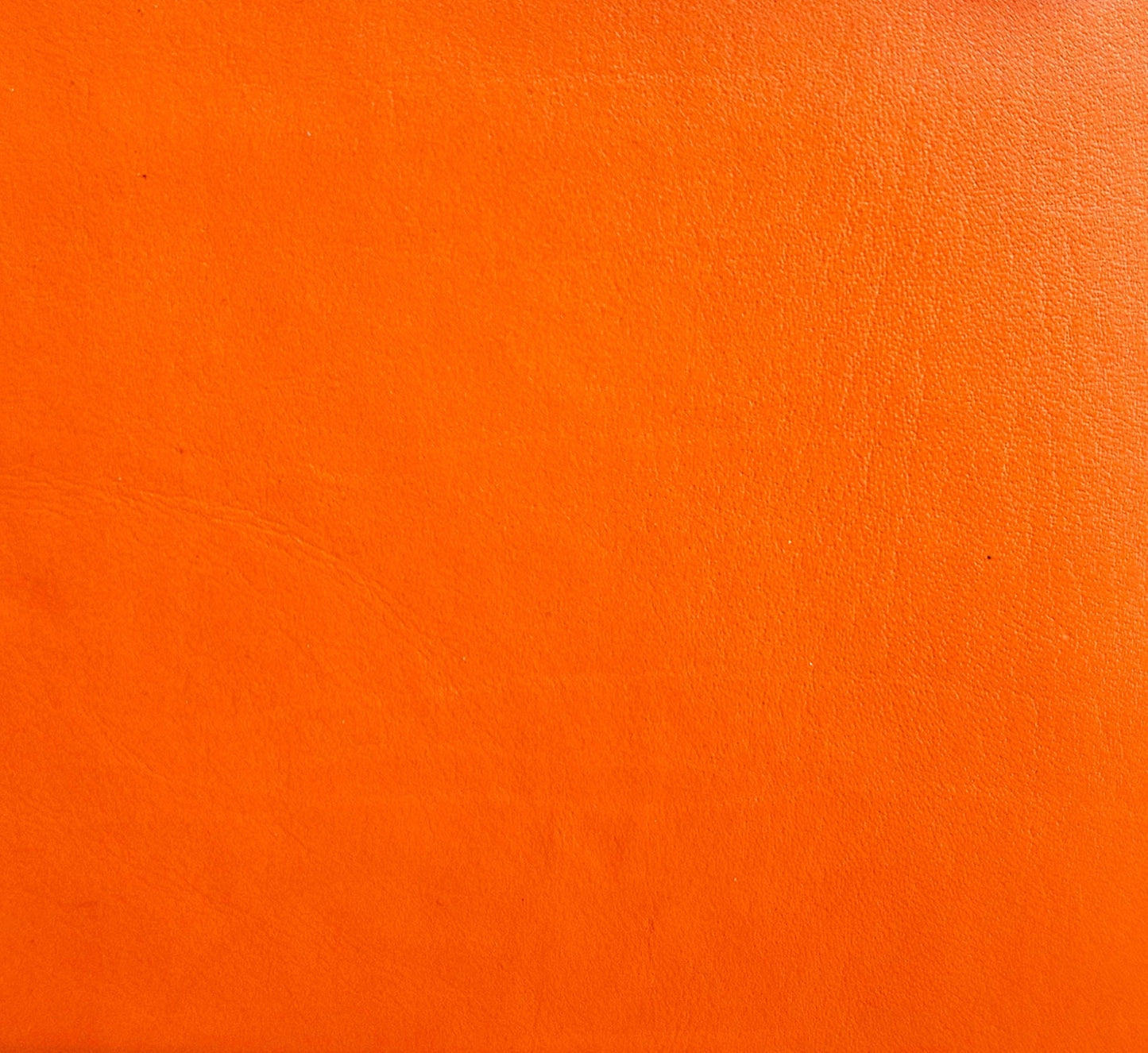 Saddler Real Leather Super Slim RFID Zip Wallet & Clutch