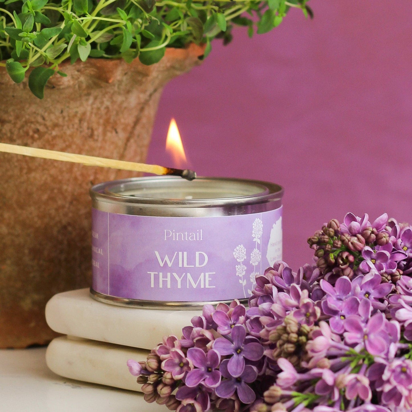 Wild Thyme Paint Pot Candle