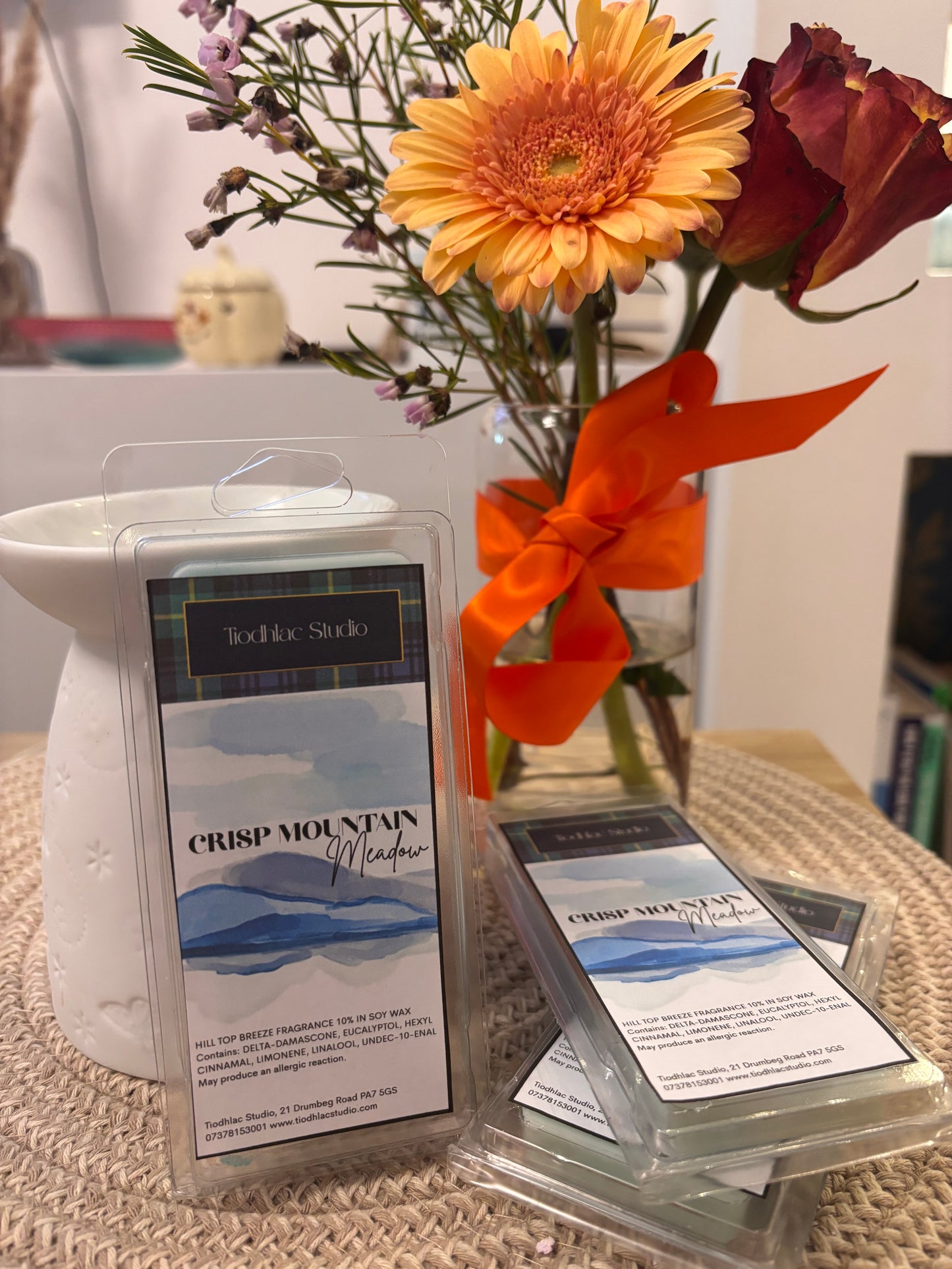 Crisp Mountain Air Wax Melts