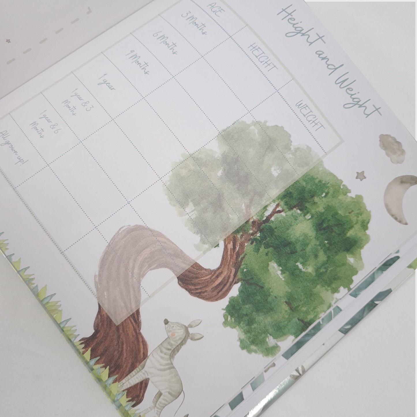 Baby Memory Book - Baby's First Year