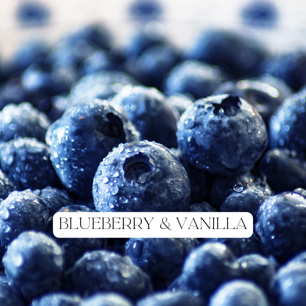 Blueberry & Vanilla Wax Melts